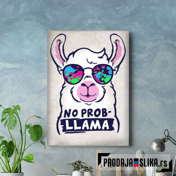 No probllama llama