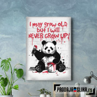 Panda never grow up