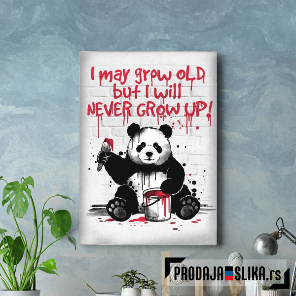 Panda never grow up