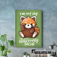 Shy red panda