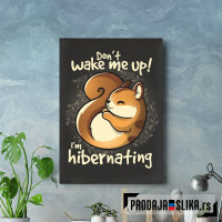 Veverica u hibernaciji