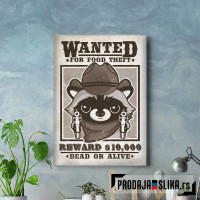 wanted racoon for food theft