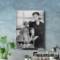 Audrey Hepburn With a Dog