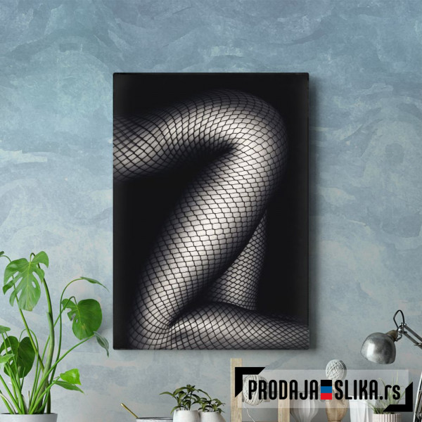 Legs in Stockings 2 Legs in Stockings 2