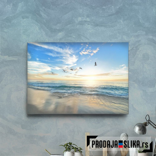 Beach Ocean With Seagulls