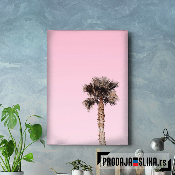 Lonely Palm