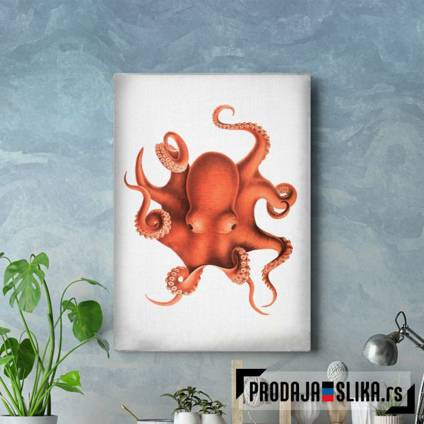 Octopus Watercolor