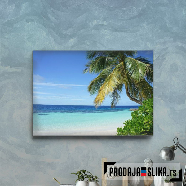 Palm Beach At The Sea
