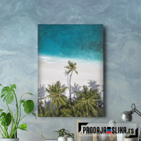 Palm Beach Sea Skyview