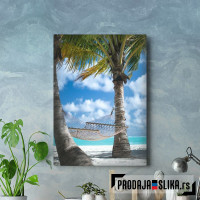 Palm Beach With Hammock