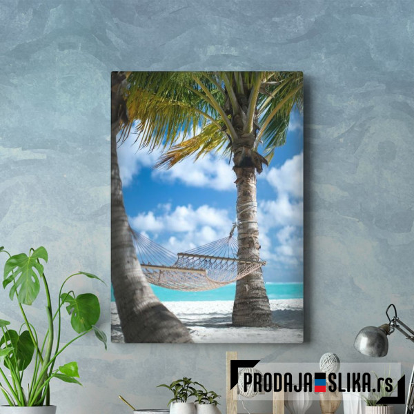 Palm Beach With Hammock