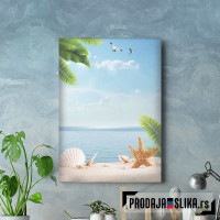 Palm Beach With Seashells