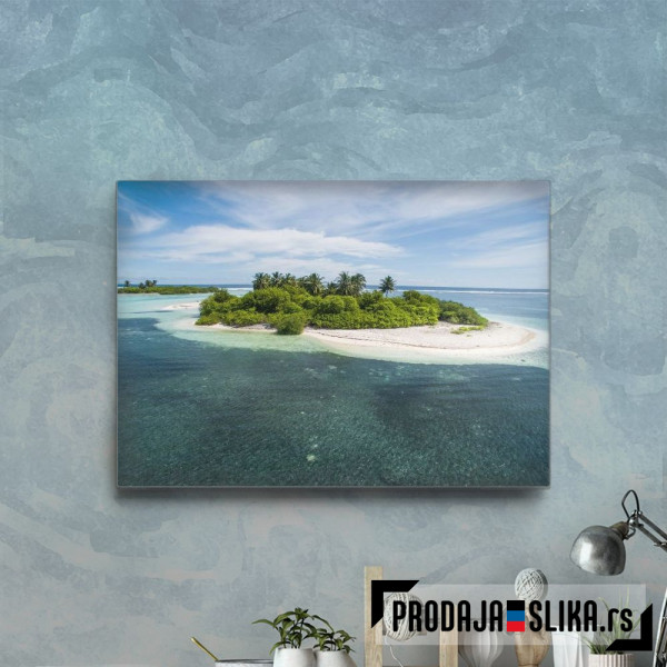 Palm Island At The Sea Palm Island At The Sea