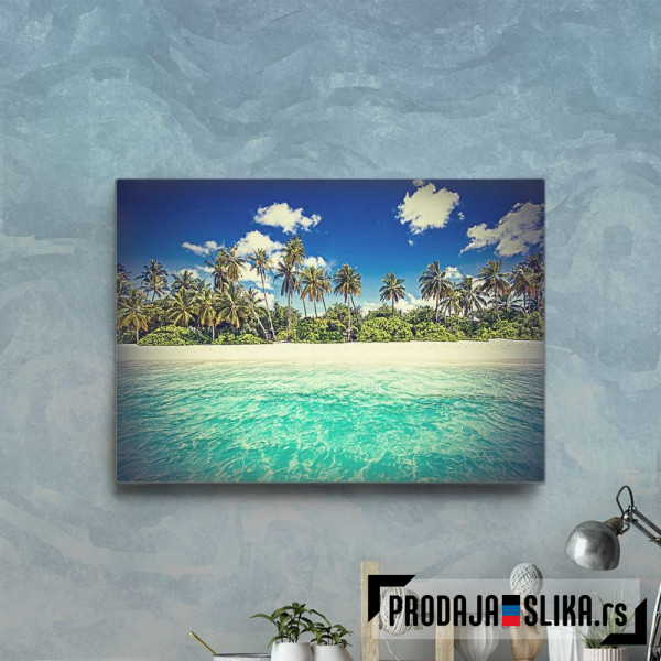 Palms