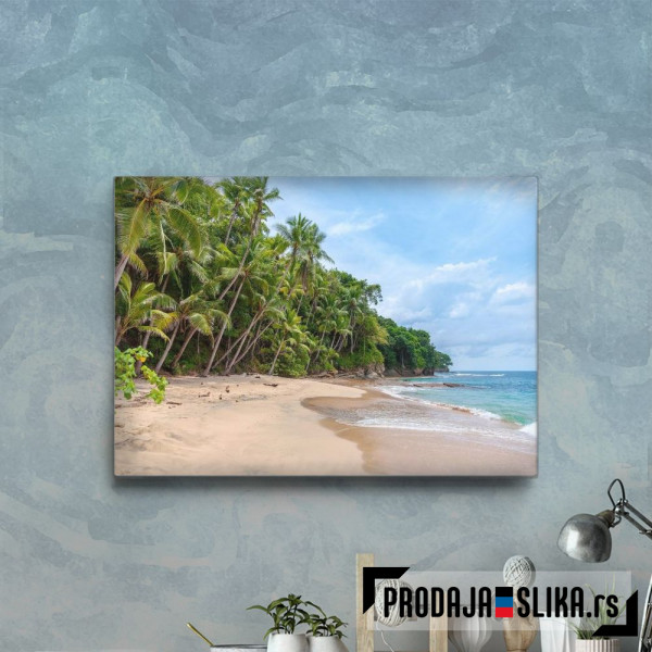 Paradise Island Palm Beach