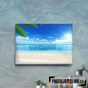 Sand Beach Palm Leaves