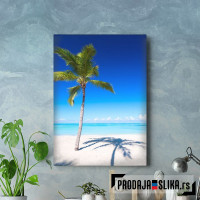 Sandy Palm Beach At Sea