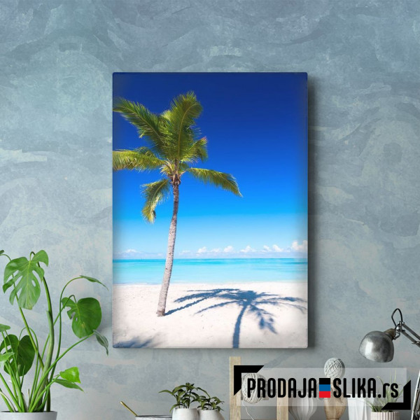 Sandy Palm Beach At Sea