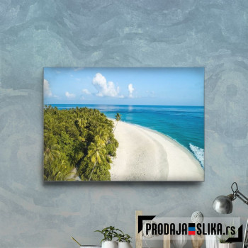 Sandy Palm Beach Ocean
