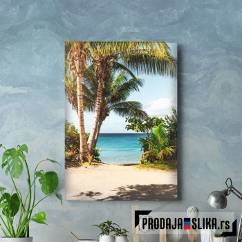 Sandy Palm Beach