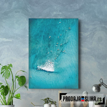 Sea And Surfboard