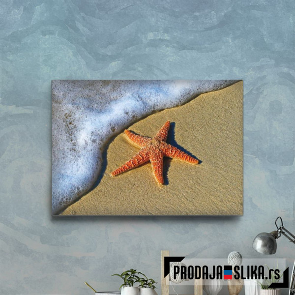 Starfish On The Beach
