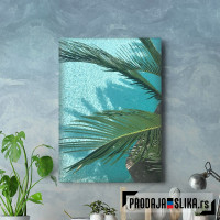 Summer Palm