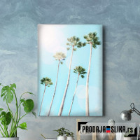 Summer Palms
