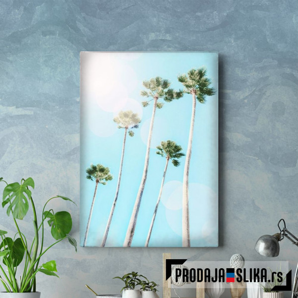 Summer Palms
