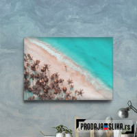 Tropical Beach Aerial View