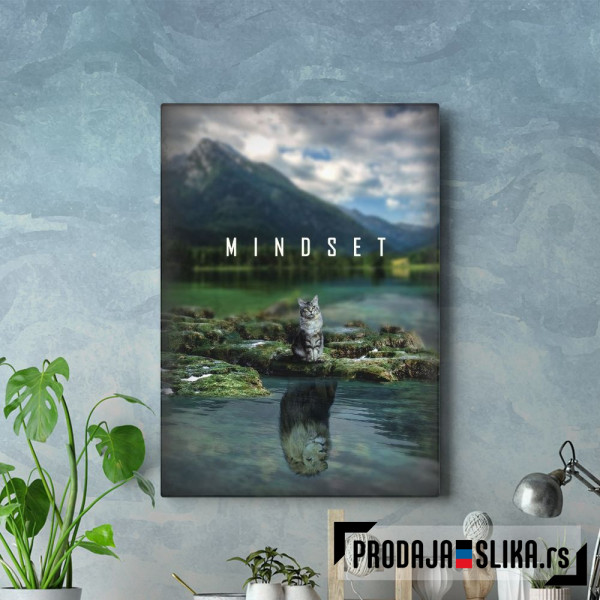 Mindset Is Everything 3