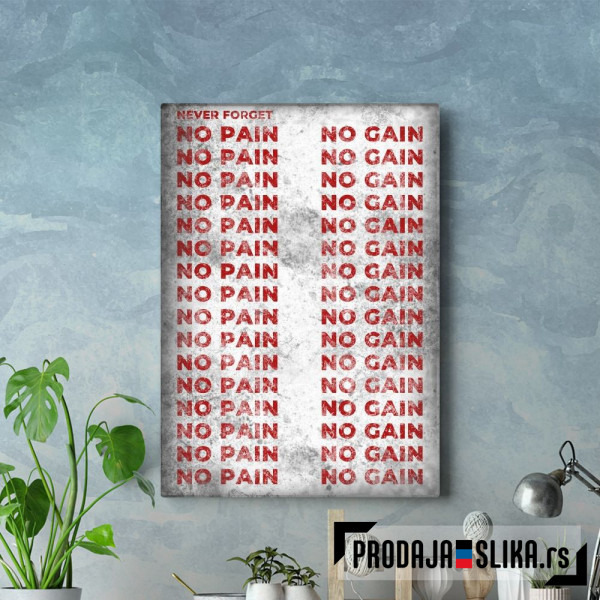 No Pain No Gain