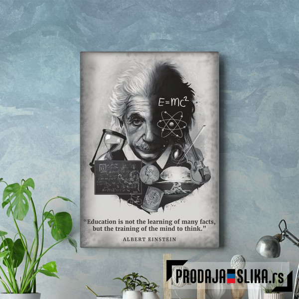 Palace Learning Albert Ein