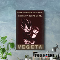 Vegeta Dragon Ball Z