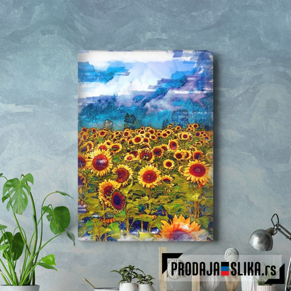 Beautiful Sunflower Field