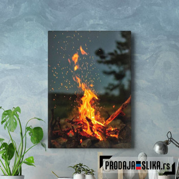 The Campfire
