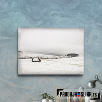 Zlatibor Zimi