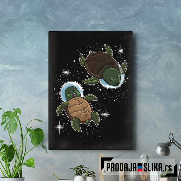 Space Turtles