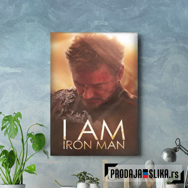 Tony Stark Tony Stark