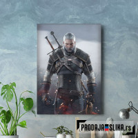 Witcher Witcher