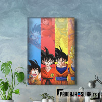 Dragon Ball Z Goku