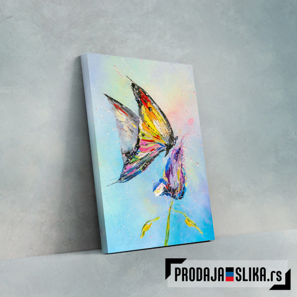 Butterfly 2