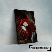 Crveni papagaj na drvetu