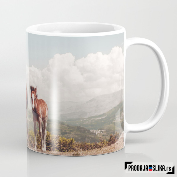 Divlji konji planine