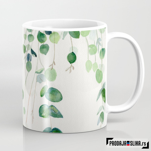 Eukaliptus vodene boje 2