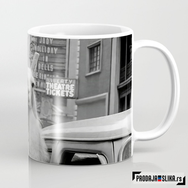 Lama čita u taksiju