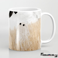 Walter and The Crows