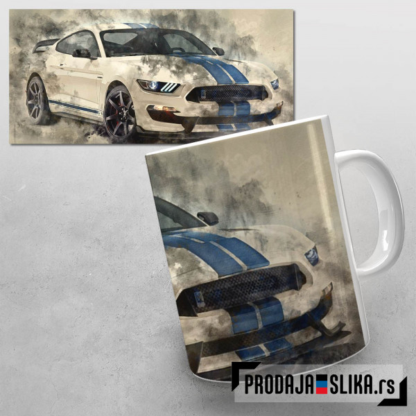 Shelby GT350 Heritage